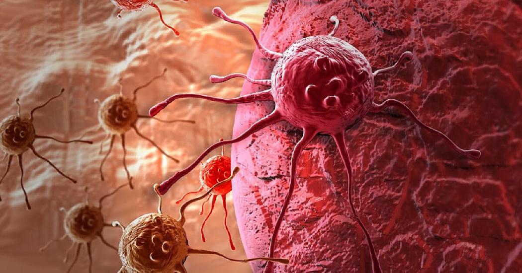 Xərçəngə səbəb olan pəhriz – həkim danışdı