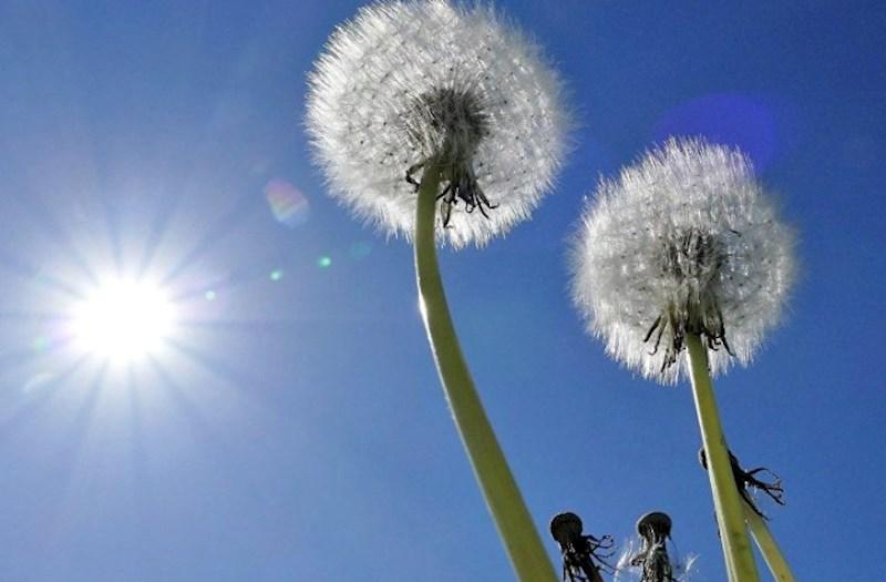 Hava kəskin dəyişir: Temperatur yüksələcək