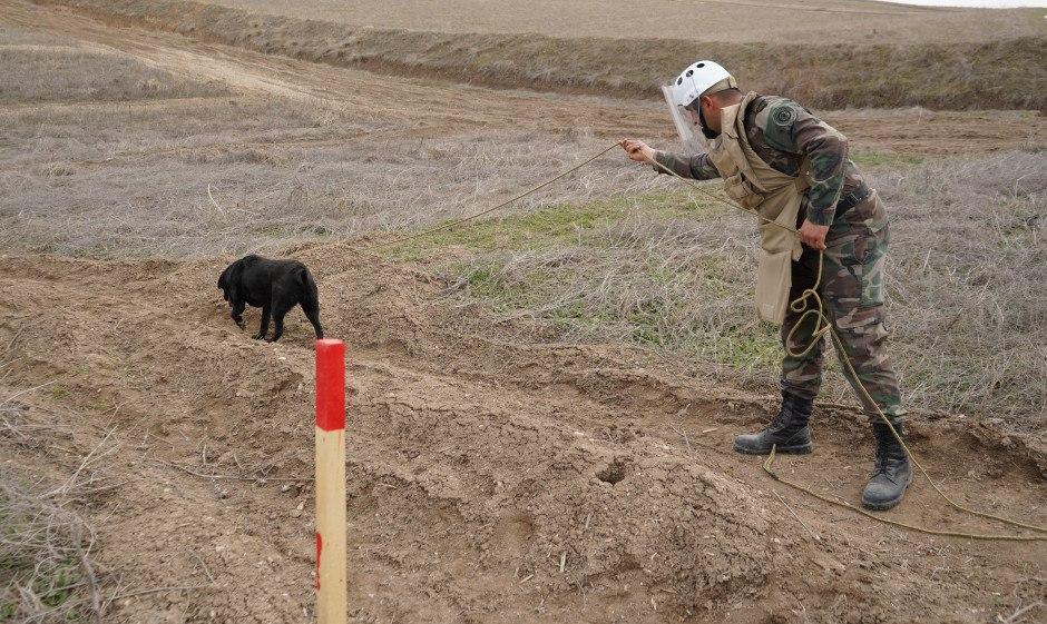 Azad olunan ərazilər minalardan belə təmizlənir– FOTO