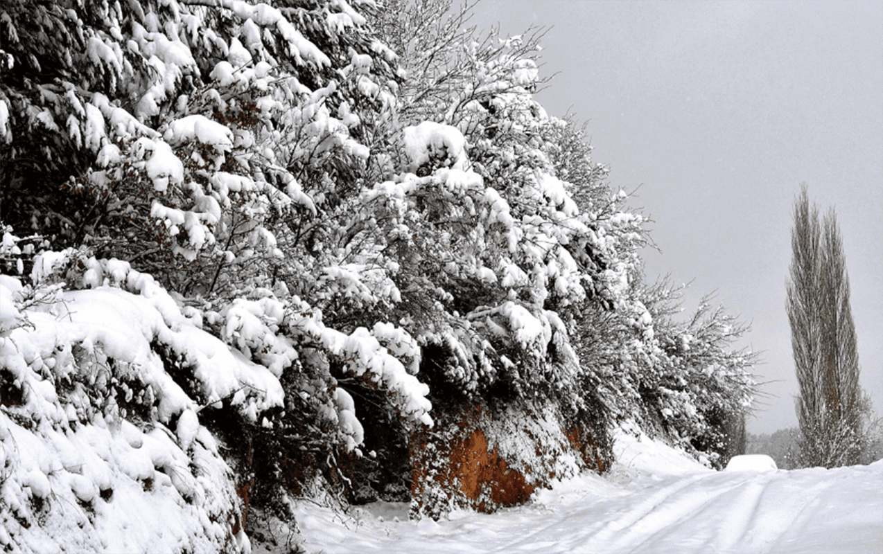 Daşkəsən və Şahdağa qar yağır