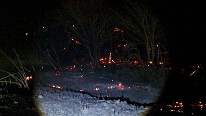 FHN Beyləqandakı yanğınla bağlı məlumat yaydı - Yeniləndi