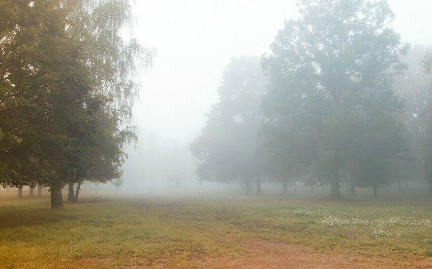 Bu gün yağış yağacaq - Proqnoz