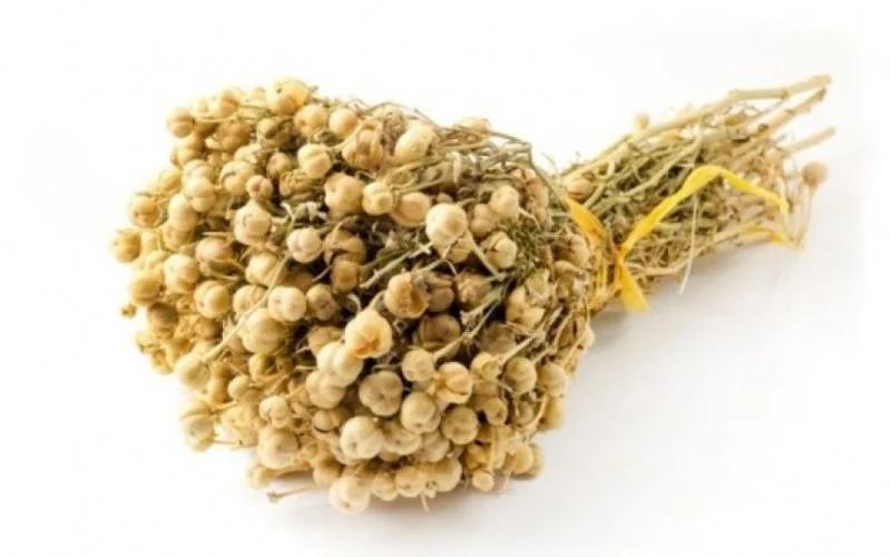 Üzərlik təhlükəlidir?: "Psixoloji dəyişikliklər yaradır"