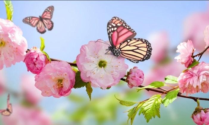 Azərbaycana yaz fəsli BU TARİXDƏ daxil olacaq – Saat AÇIQLANDI