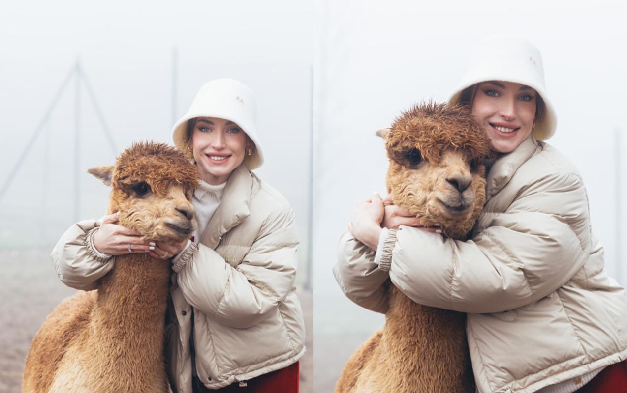 Prezidentin gəlininin alpaka fermasından maraqlı- Fotoları