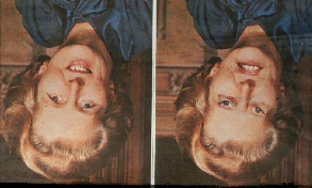 Bir şəkil, iki reallıq: Beyni aldadanTetçer effekti