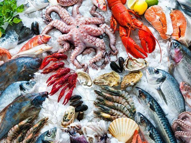 Bəzi dəniz məhsulları təhlükəlidir – Ekspert XƏBƏRDARLIĞI
