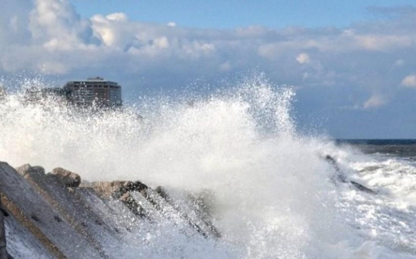 Elm dünyasında sensasiya: 200 illik ömrün açarı tapıldı