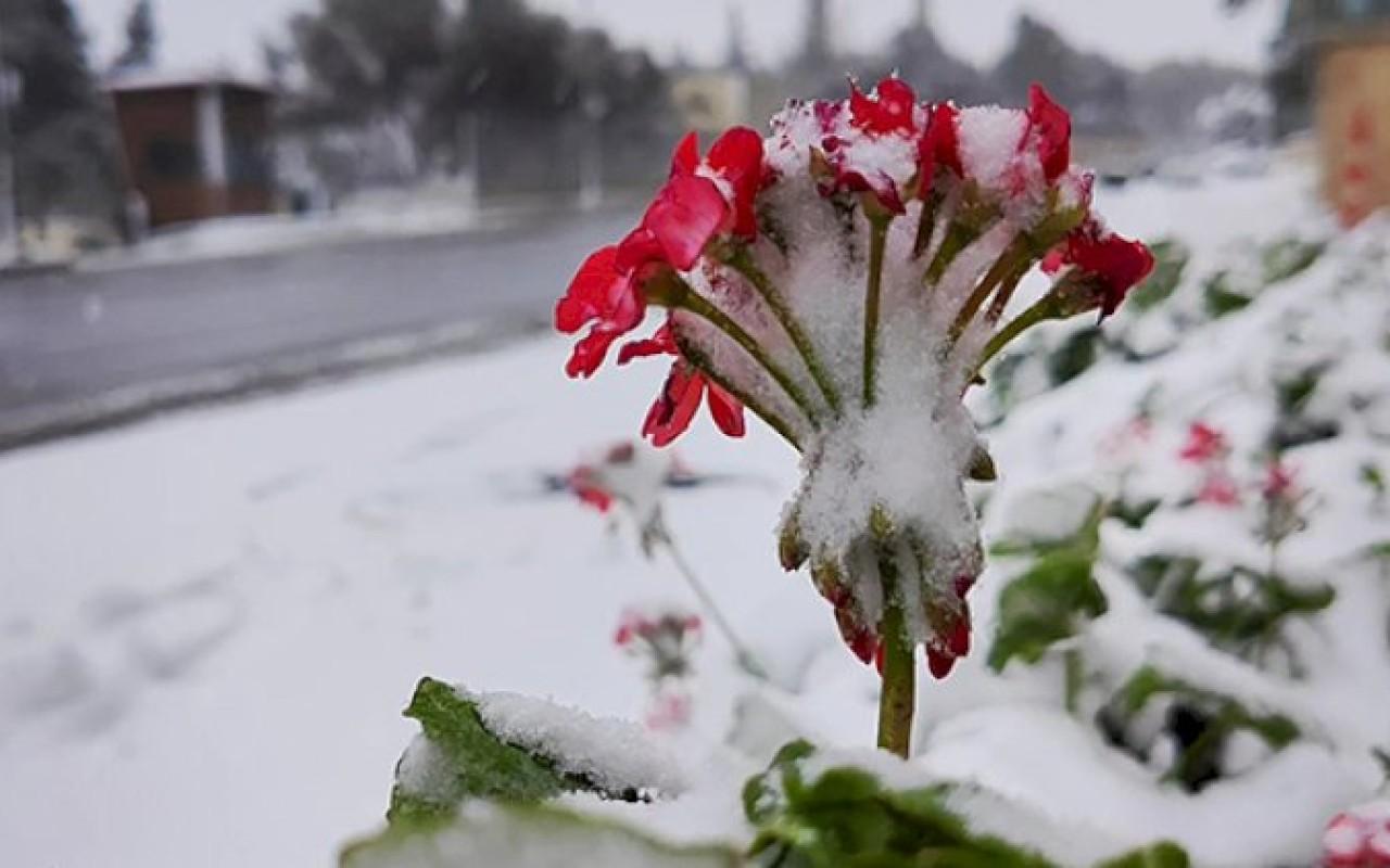 Şimşək çaxacaq, qar yağacaq- Sabahın havası