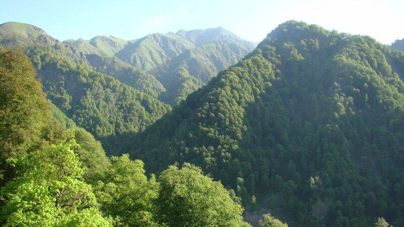 Qəbələdə şəlalənin yanında yıxılaraq yaralandı