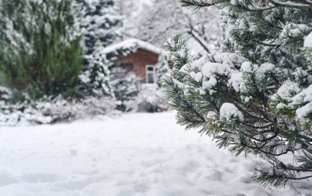 Dağlıq ərazilərdə qar yağacaq