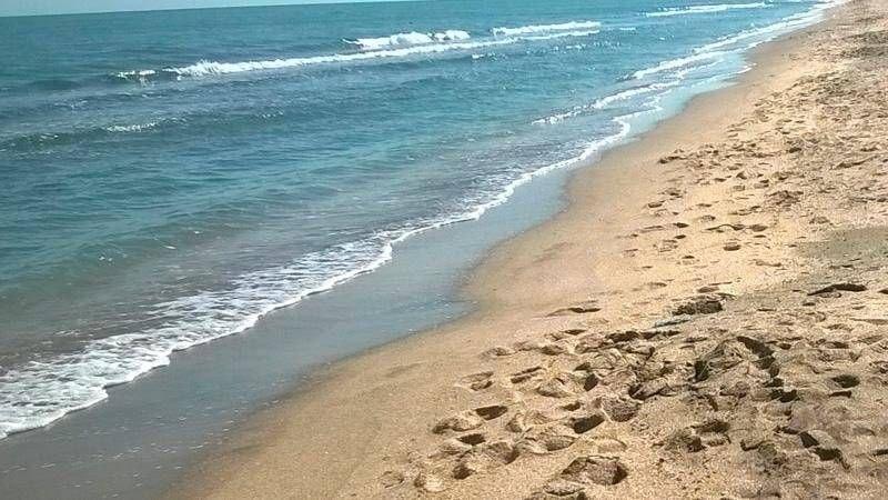 Xəzərin dayazlaşması balıqçıları çətin duruma saldı – VİDEO