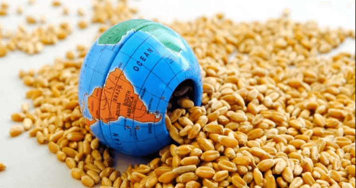 İranla müharibə qlobal ərzaq böhranı riskini artırır