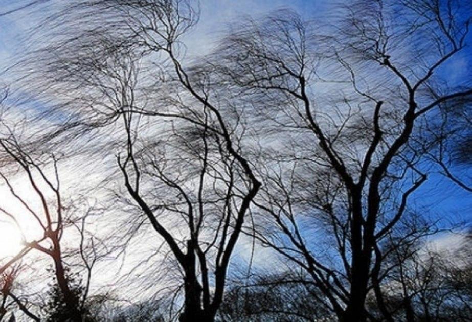 Azərbaycanda küləkli hava ilə bağlı SARI XƏBƏRDARLIQ