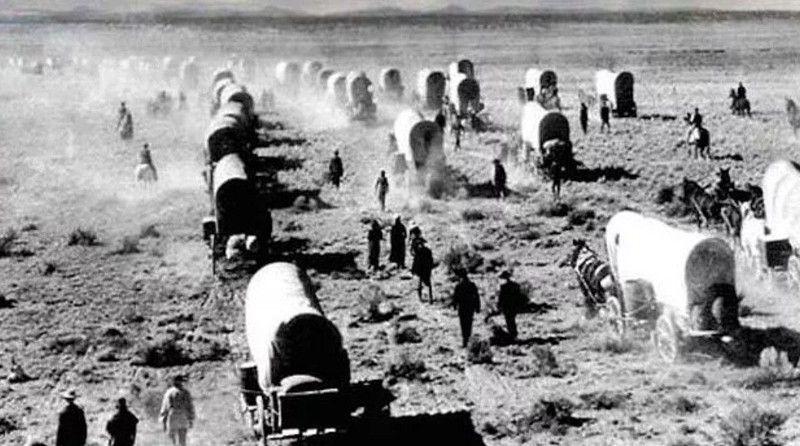 Qul kimi hədiyyə olaraq verildi, amma milyonçu oldu