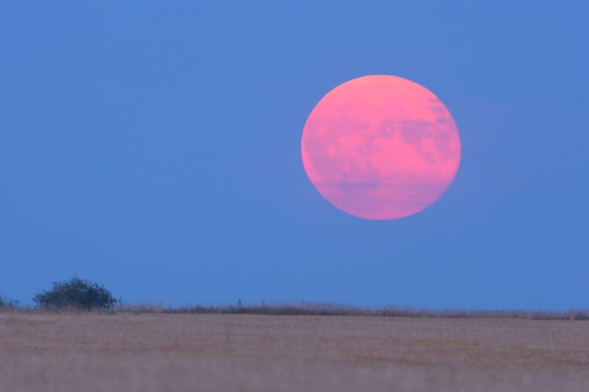 İlin ən gözlənilən anı: Çəhrayı Dolunay nə zaman görünəcək?