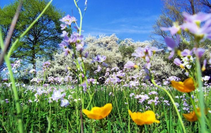Aprelin ilk günü hava belə olacaq