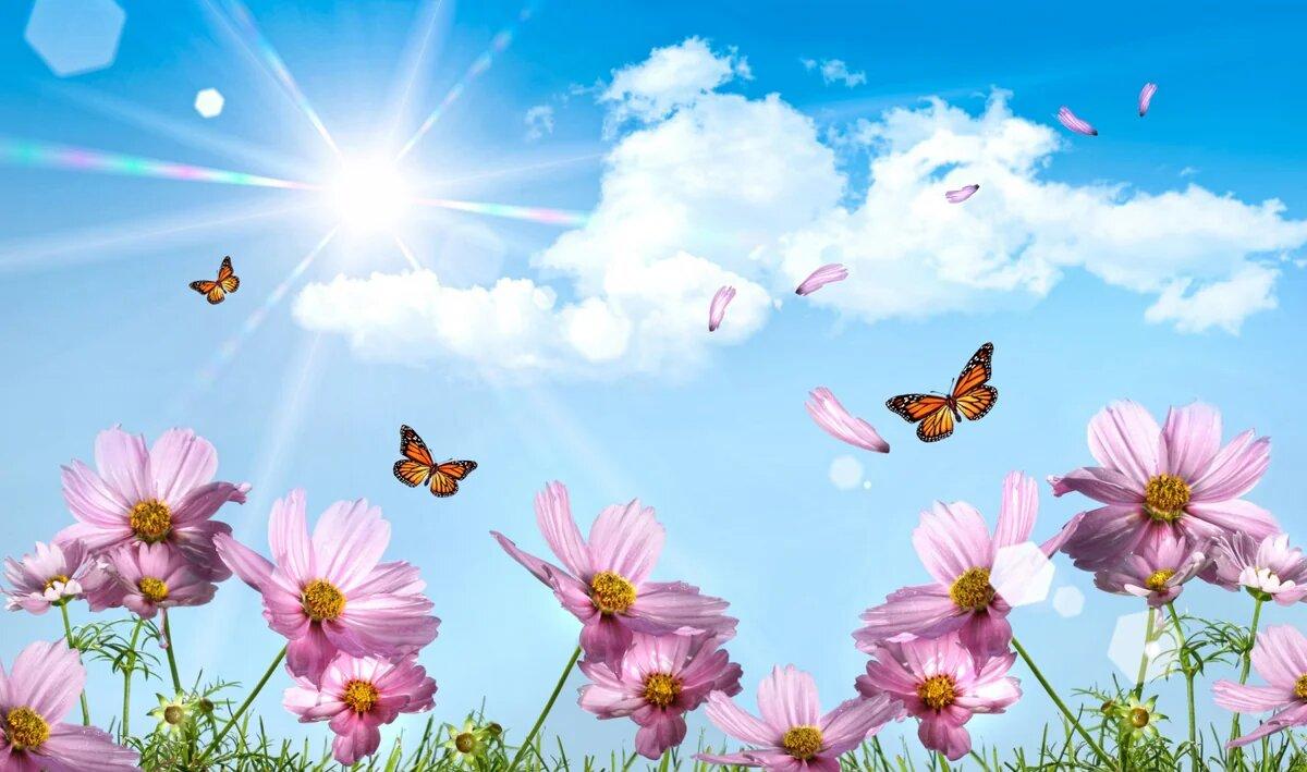 Bu günün hava proqnozu