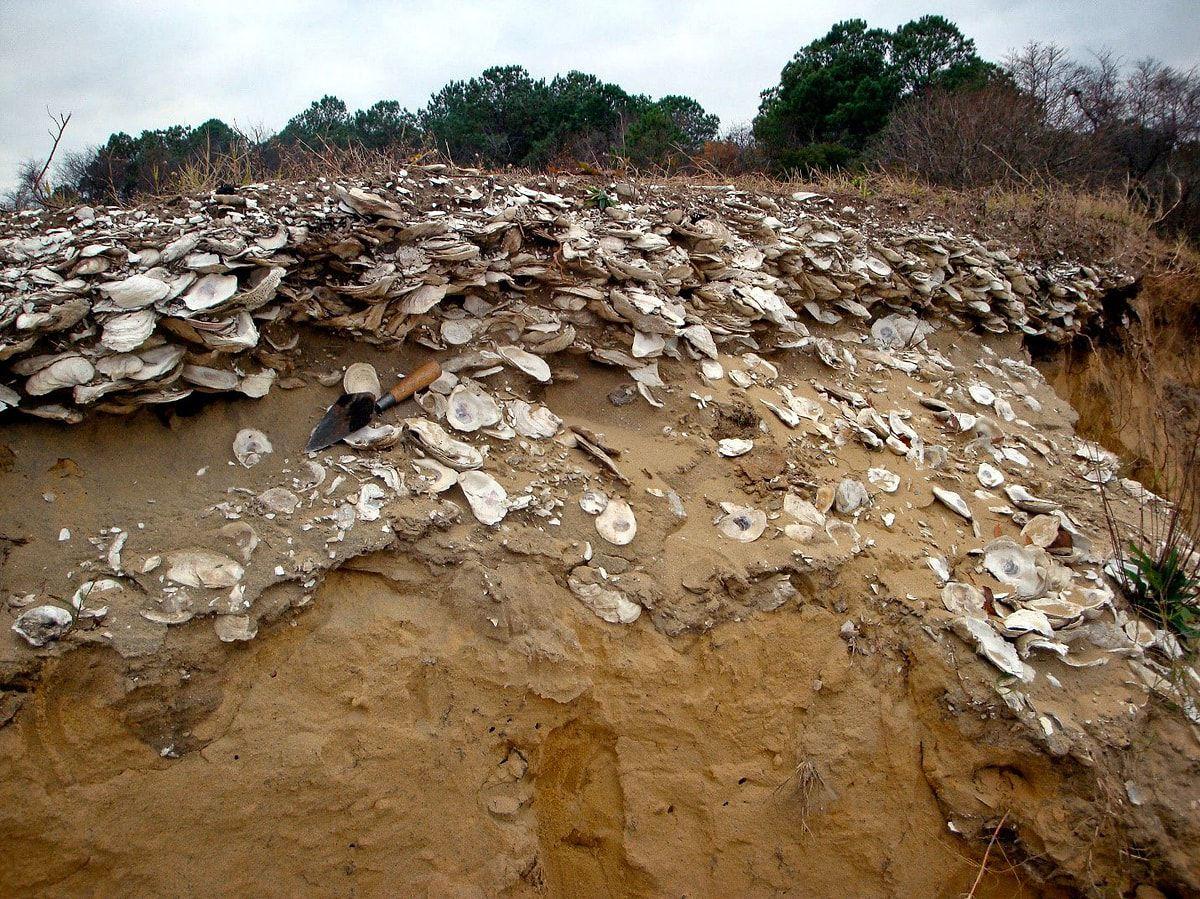 Qida tullantılarından ibarət 3000 kvadrat metrlik qəribə ada kəşf edildi