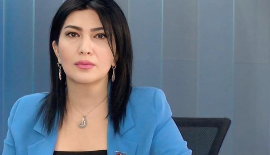 Deputat: Nizami Kino Mərkəzinin divarına qraffiti çəkilməsi vandalizmdir, uşaqlara vətəndaş məsuliyyəti aşılanmalıdır