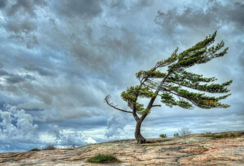 Sarı xəbərdarlıq: 4-6 aprel...