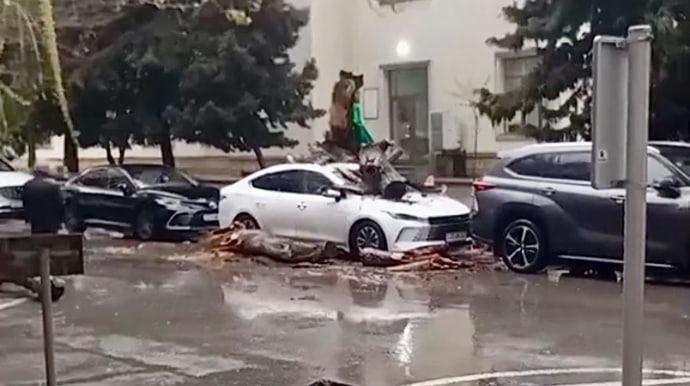 Nəhəng ağac "BYD"nin üstünə aşdı – VİDEO