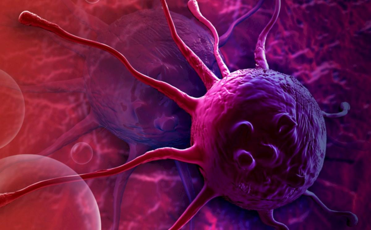 Hər gün istifadə edirik: Xərçəng riskini artırır