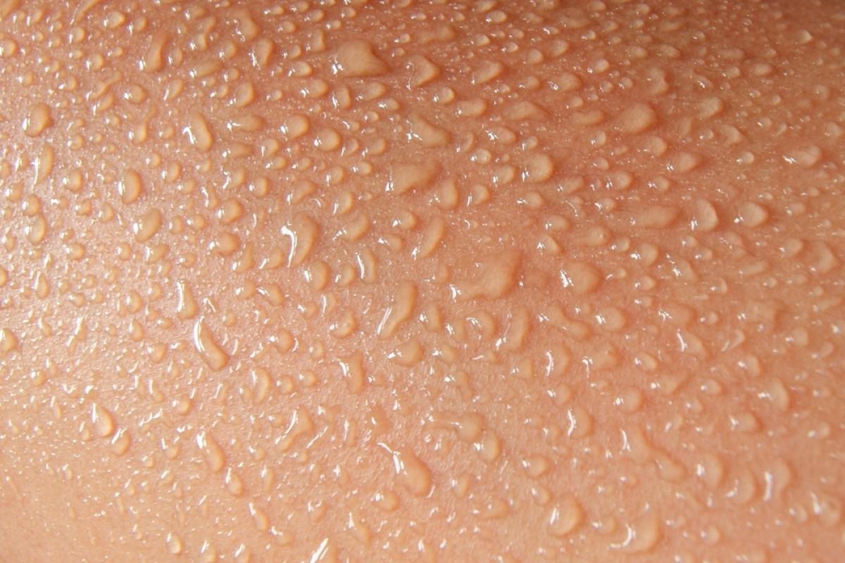 Tərdəki bu molekul qrip virusunun düşmənidir – ARAŞDIRMA