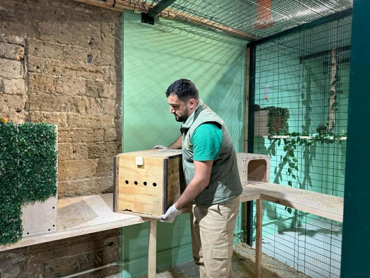 Qanunsuz saxlanılan vəhşi heyvanlar xilas edilib