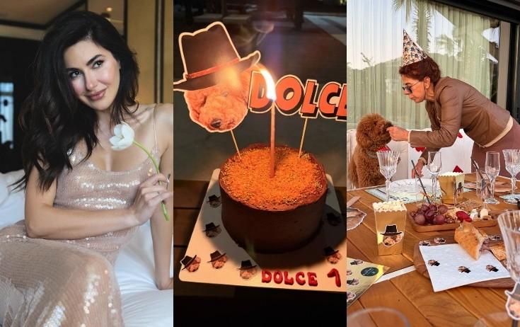 Nəsrin itinə ad günü etdi