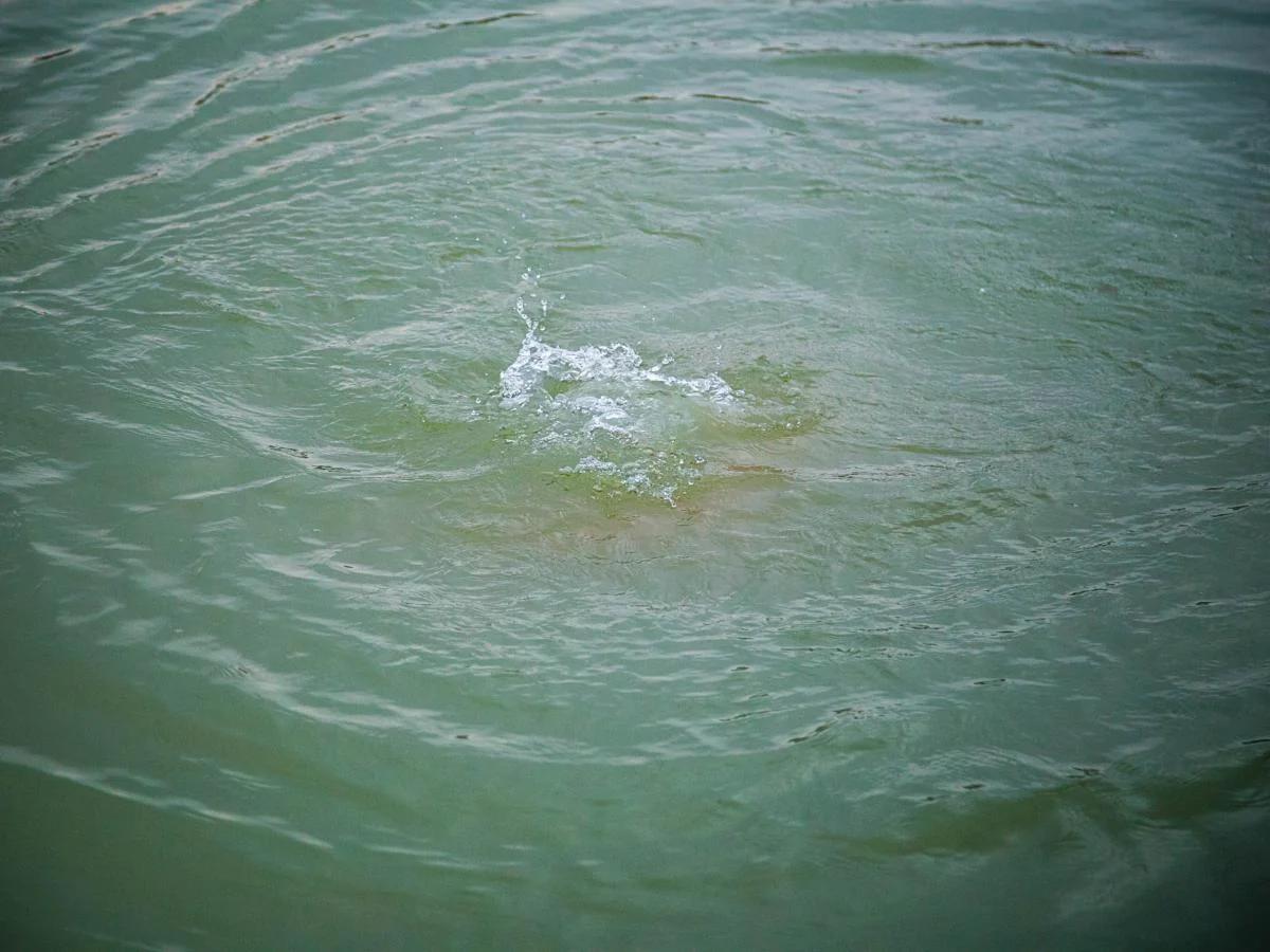 Tərtərdə 7 yaşlı qız kanalda boğuldu