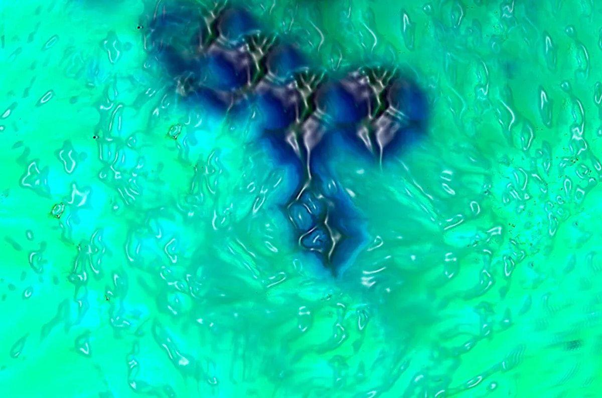 Alimlər insan gözünün əvvəllər görmədiyi bir rəng ​​kəşf ediblər