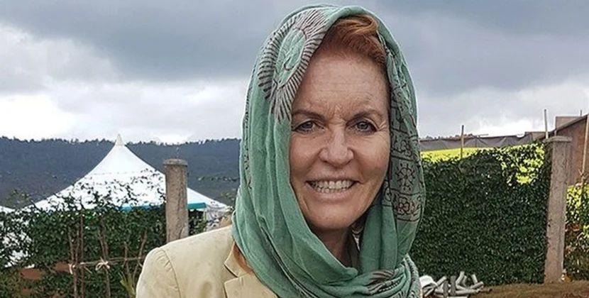 7 ay gizləndikdən sonra Alp dağlarında görüldü - FOTO