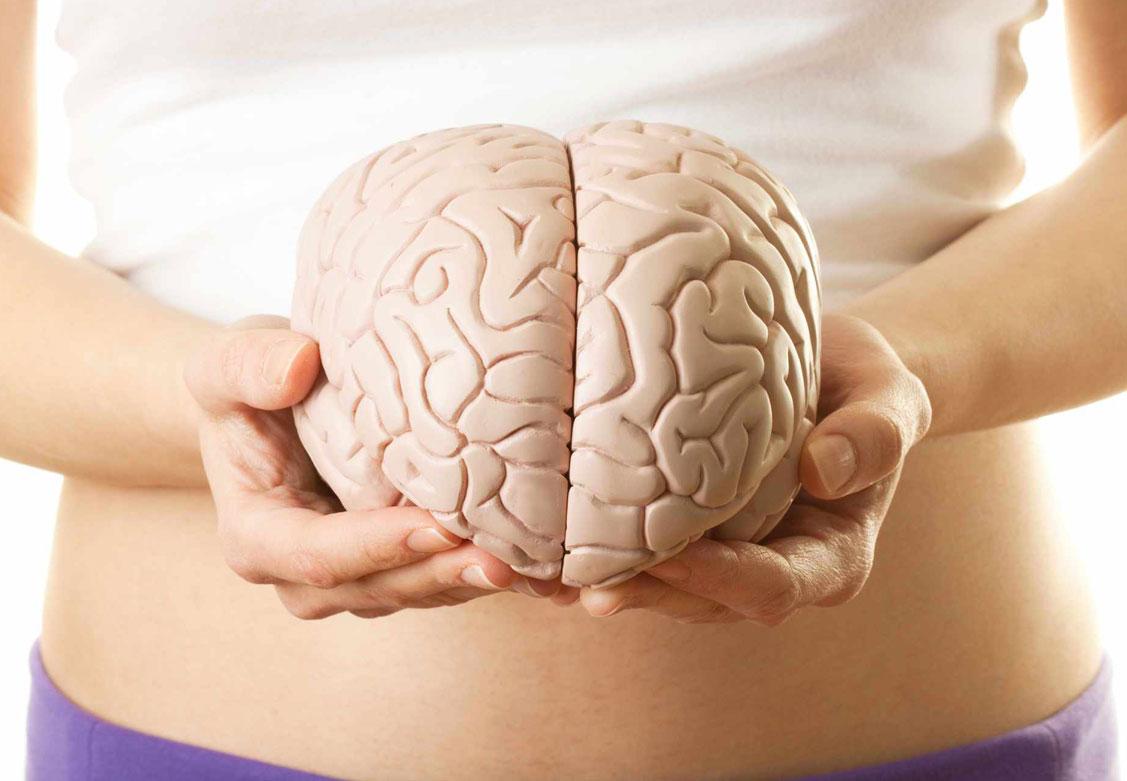 Beyin özünü təmizləyə bilir - TƏDQİQAT