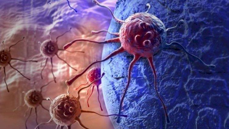 Bu meyvə xərçəngə qarşı gizli silah imiş