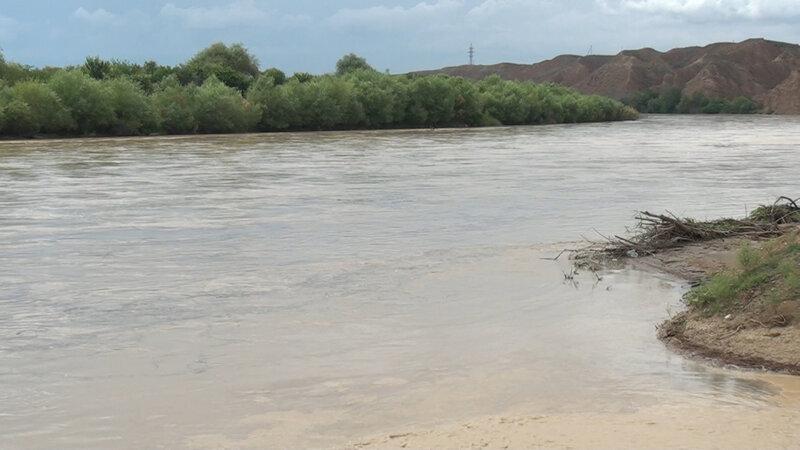 Kür çayı daşdı - Əkin sahələrini su basdı