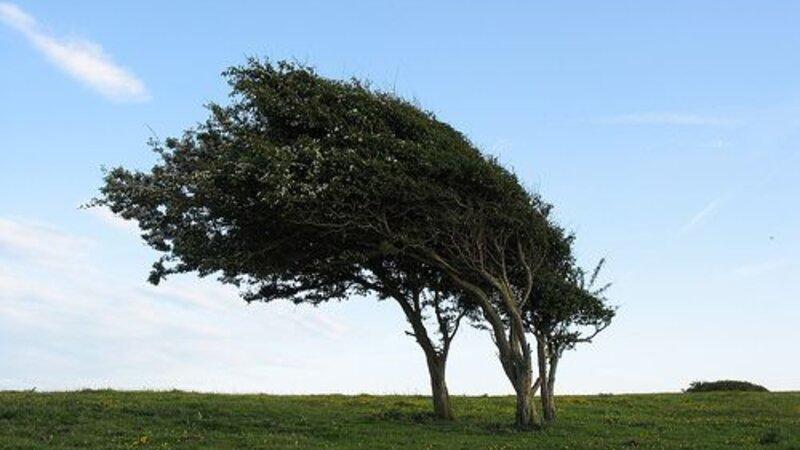 Sabahın havası ilə bağlı XƏBƏRDARLIQ