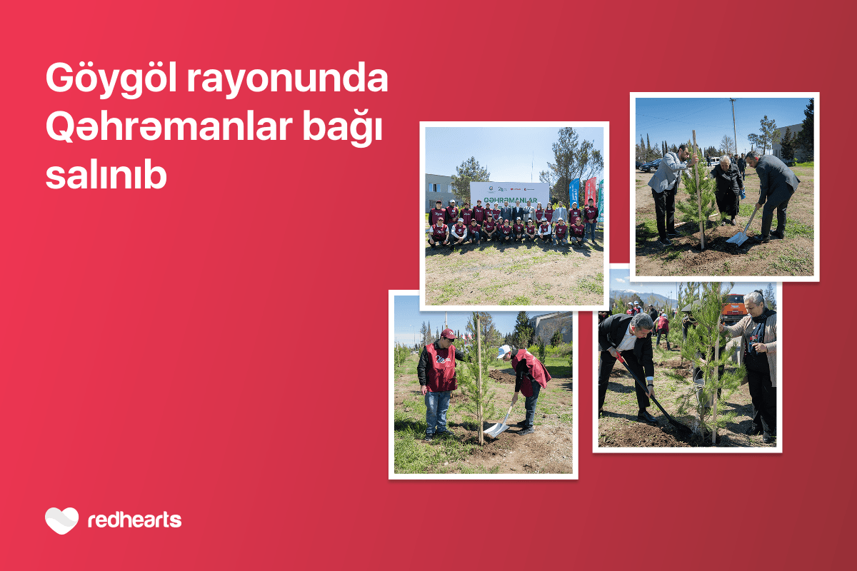 Göygöldə "Qəhrəmanlar bağı" aksiyası həyata keçirilib