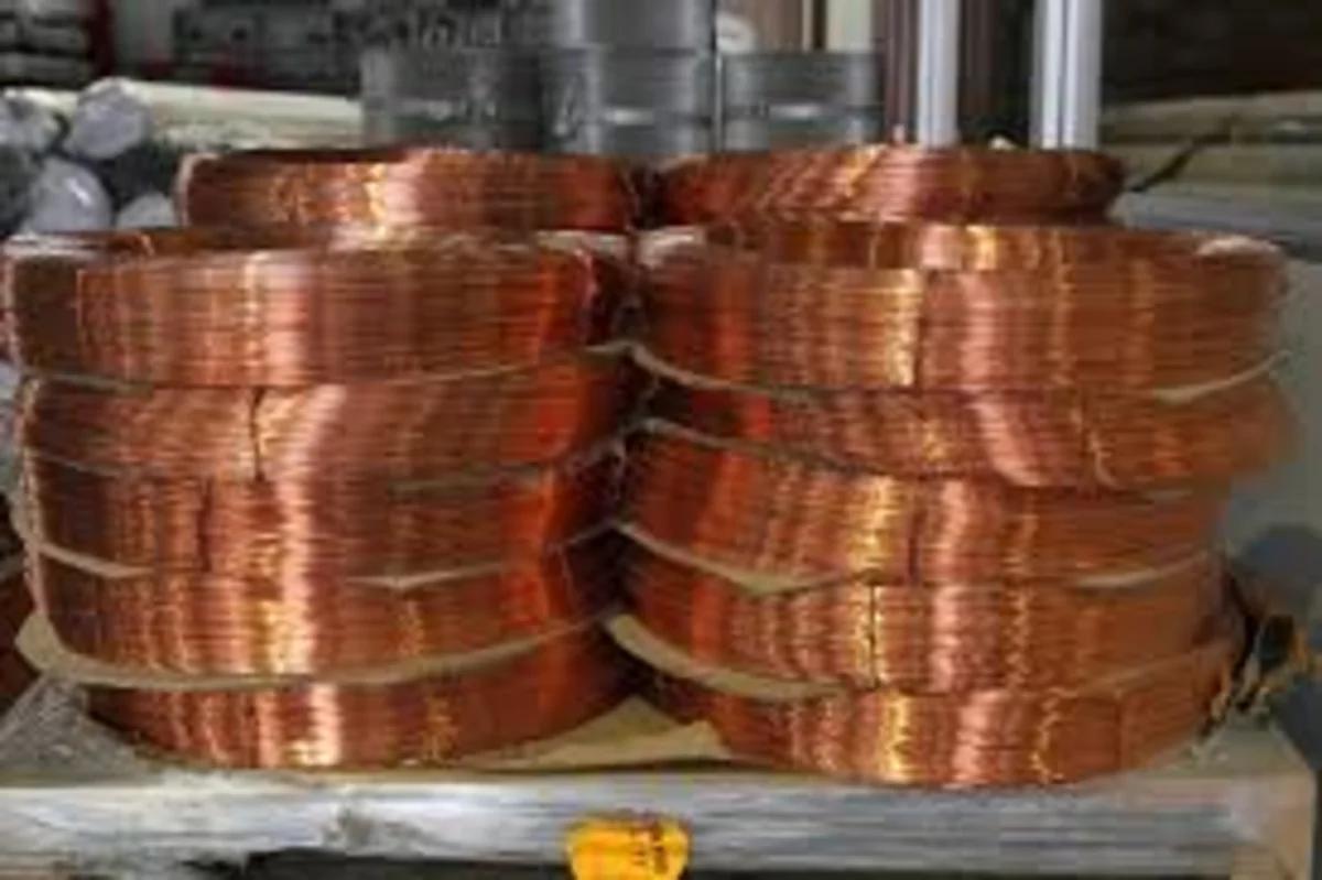 Azərbaycan bu məhsulun istehsalını 13 dəfə artırıb