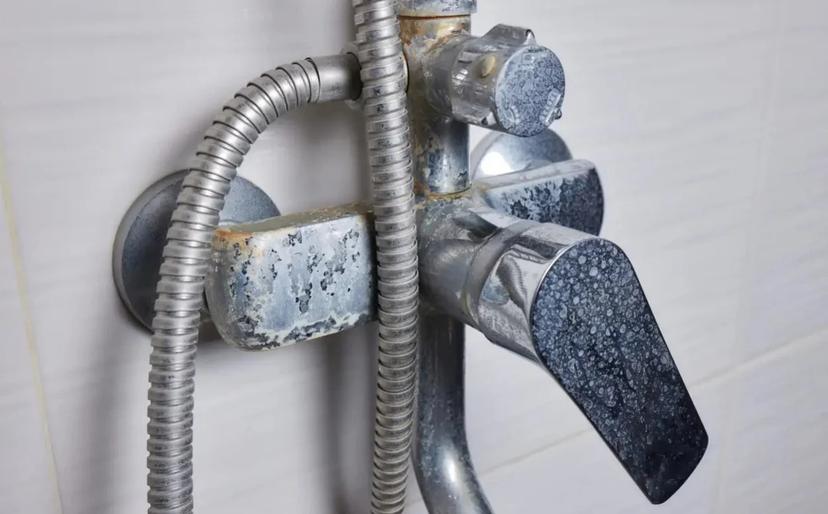 Hamı zibilliyə atır, ancaq bu problemin çarəsidir