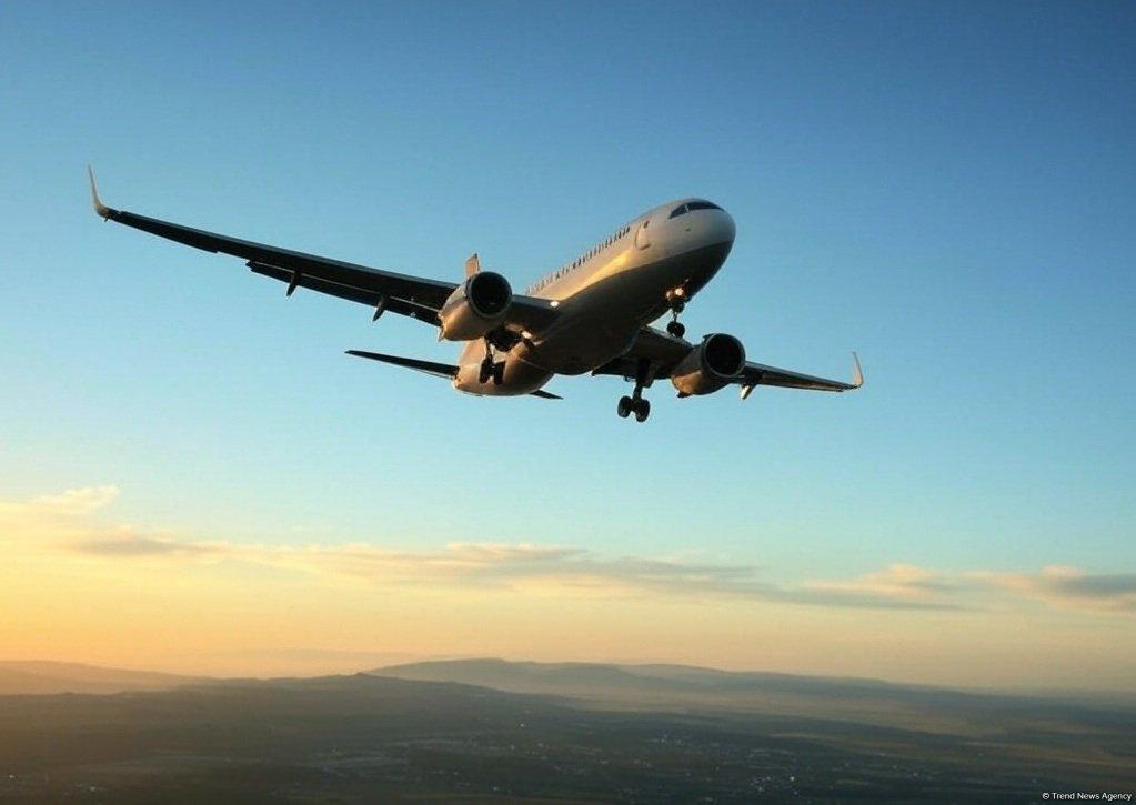 Rusiyanın 4 hava limanı fəaliyyətini DAYANDIRDI