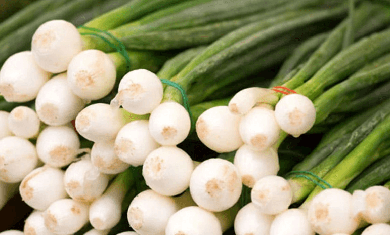 Göy soğanın bilmədiyiniz faydaları