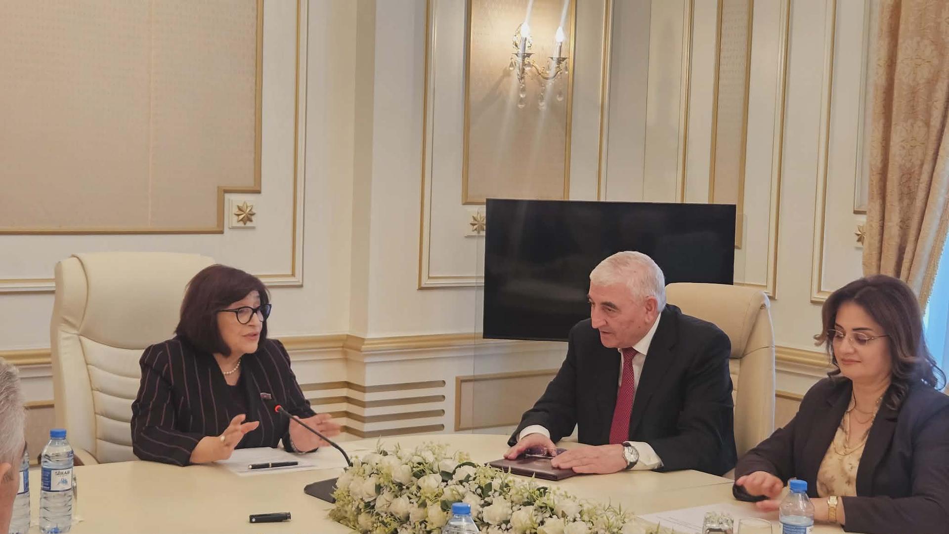 Sahibə Qafarova: "MSK ölkənin siyasi sistemində özünəməxsus yer tutur"