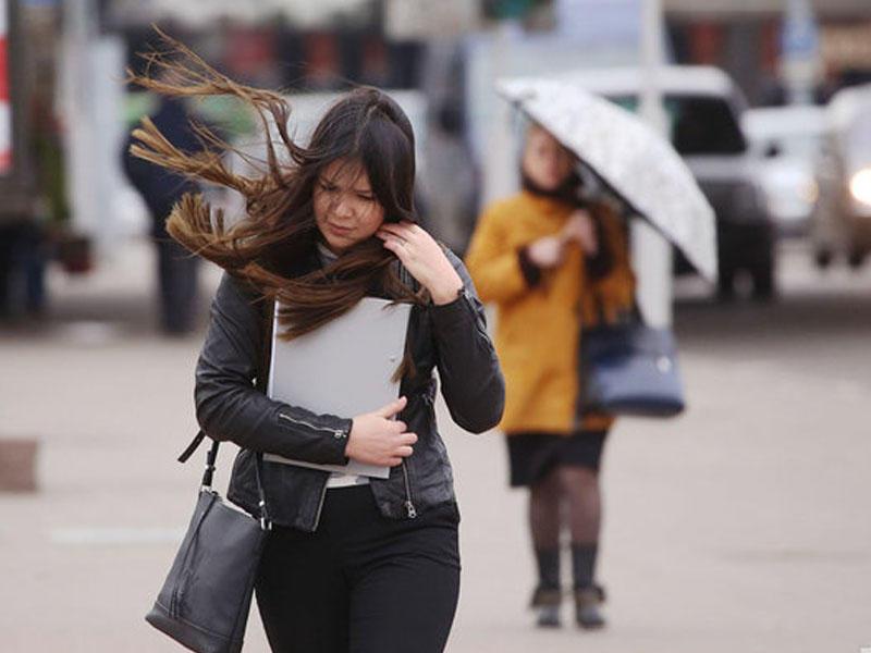 Güclü külək əsir - FAKTİKİ HAVA