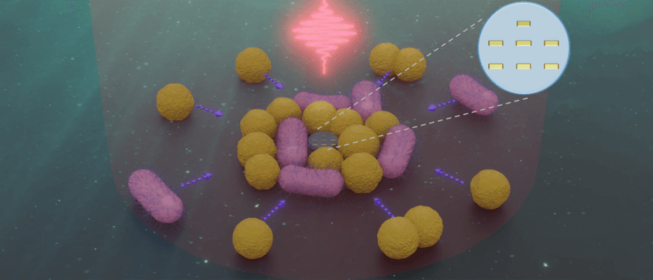 Bakteriyaları ovlayan nanorobotlar hazırlanıb
