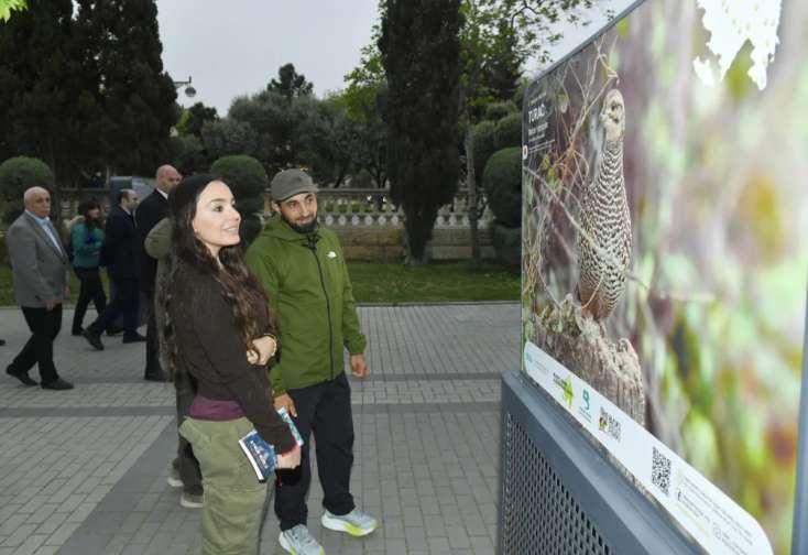 Leyla Əliyeva sərginin açılışında iştirak etdi