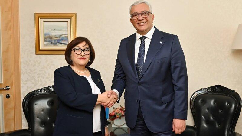 Sahibə Qafarova Monteneqro parlamentinin sədri Andrija Mandiç ilə görüşdü