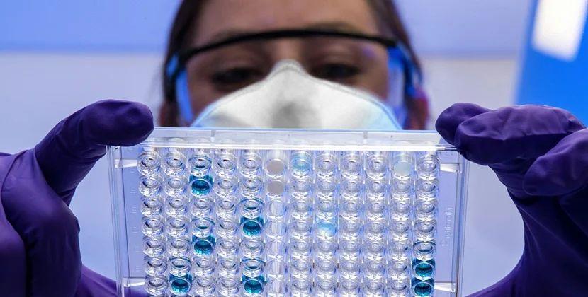 Hantavirus şübhəsi ilə xəstəxanaya yerləşdirildi