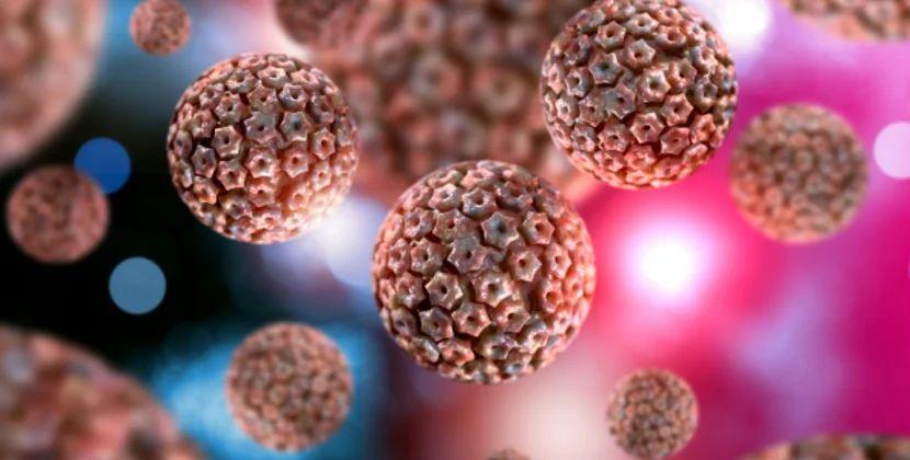 Hantavirus pandemiyası riski varmı? — ÜST-dən açıqlama