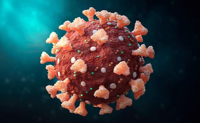 Bu ölkədə təhlükəli virus yayılır